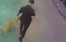 VIDEO: Kasus Sekuriti Hukum Anjing Kena Pecat, Robby Purba Diskak Nikita hingga Tantang Netizen