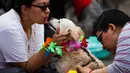 Seorang wanita mencium anjingnya yang diberikan kalung selama acara "Kukur Tihar" di Mexico City, Minggu (11/11). Kukur Tihar adalah festival Hindu yang dirayakan khusus untuk menghormati anjing. (AP Photo/Claudio Cruz)