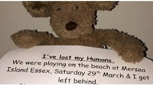 Foto: copyright oddee.com