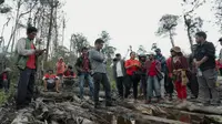 Marak Perambahan Hutan di Dairi, Bane PDIP: Deforestasi Harus Segera Dihentikan