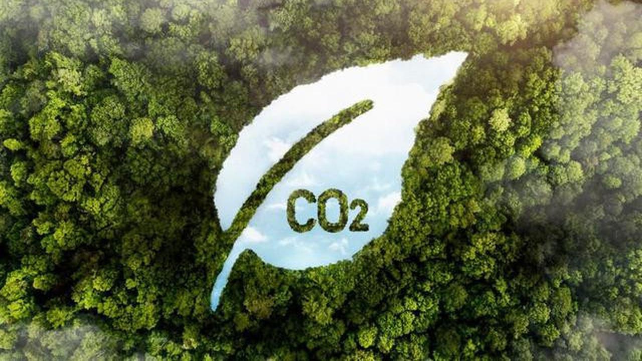 Laporan Liputan6.com dari London: IndonesiaBergabung dengan The Coalition to Grow Carbon Markets