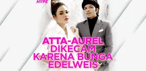 Atta Halilintar dan Aurel Dikecam Gara-Gara Bunga Edelweis