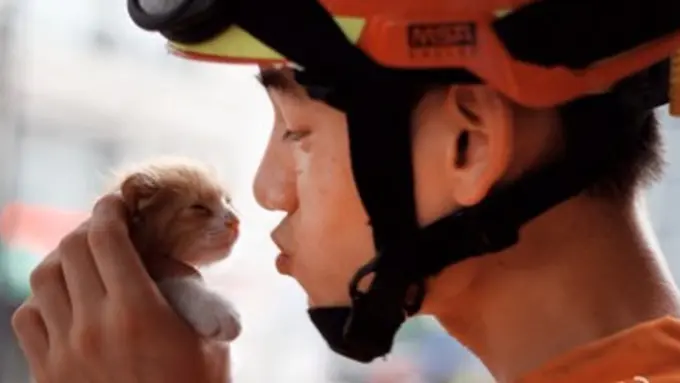 Ye Hao-Jie dan kucing yang diselamatkannya. | Foto: copyright dramafever.com