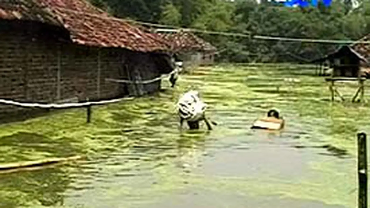 080106cbanjir-gresik.jpg