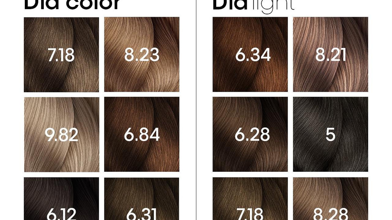 Ilustrasi Hair Bronzing Loreal