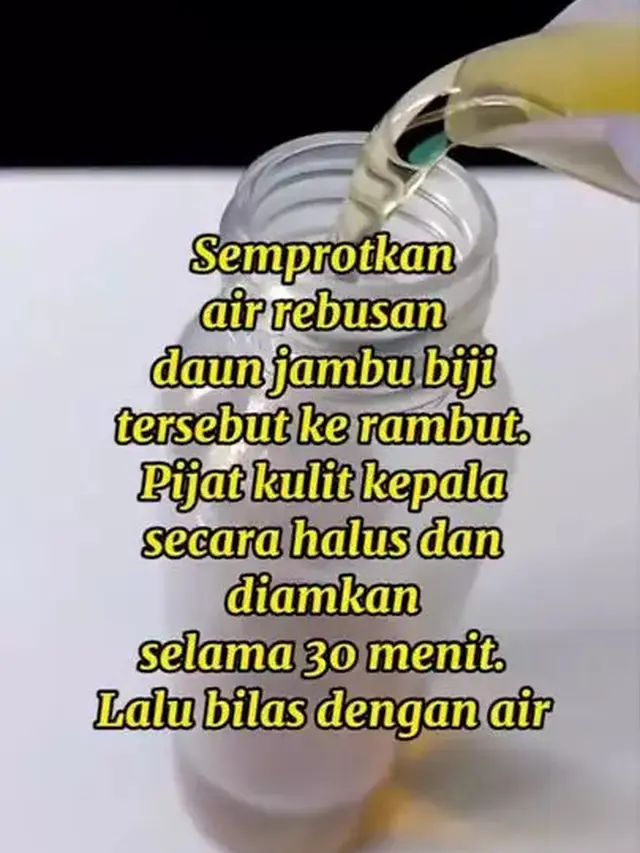 Langkah mencegah uban dengan daun jambu biji