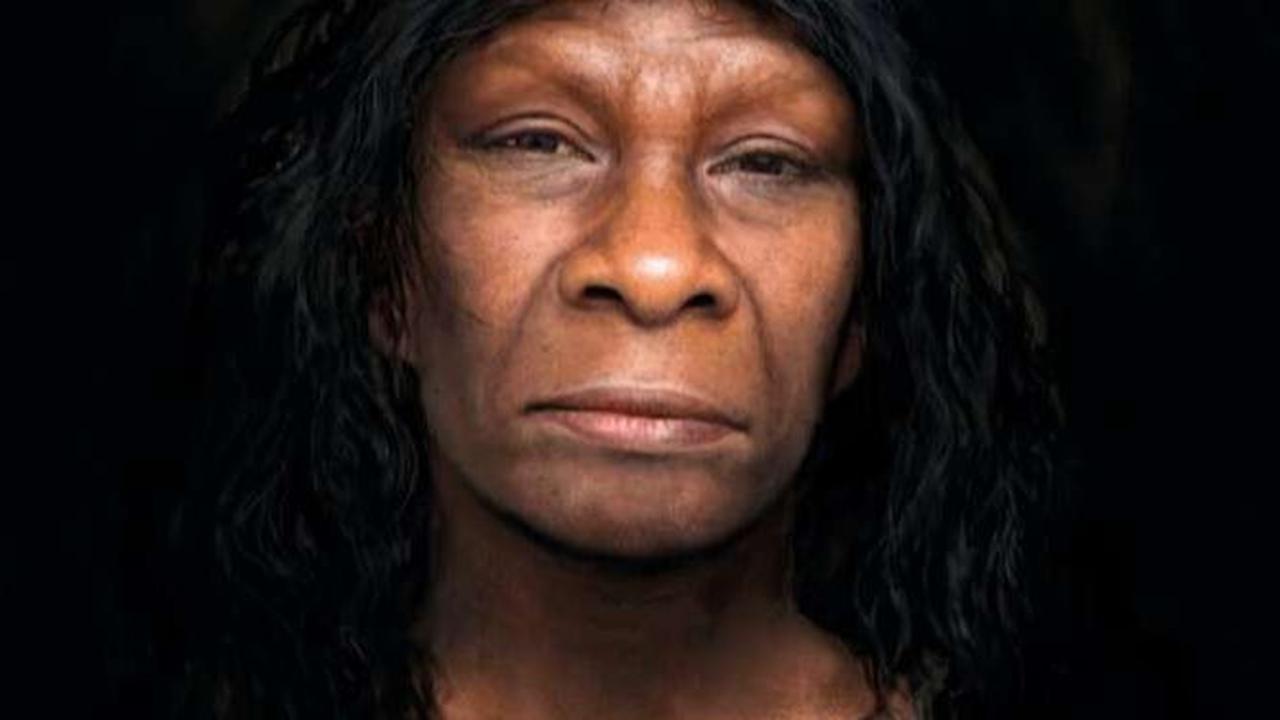 Neanderthal adalah sebutan untuk spesies manusia purba yang telah punah. Mereka hidup sekitar 400.000 hingga 40.000 tahun yang lalu di Eropa dan Asia Barat.&nbsp;