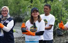 Fakta Unik Mangrove, PTP Nonpetikemas Tanam 11.000 Bibit Jaga Ekosistem Pesisir Medan