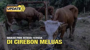 Wabah Penyakit Mulut dan Kuku (PMK) di Kabupaten Cirebon dilaporkan semakin meluas. Data per hari Selasa lalu, PMK di Cirebon meluas hingga ke 22 kecamatan. PMK juga menyerang sebanyak 1.356 ternak.