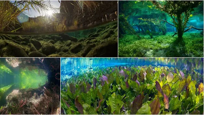 Courtesy NationalGeographic/Photograph by Michel Roggo