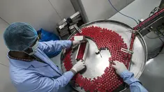 Pekerja laboratorium saat mengawasi produksi botol vaksin Sinovac di laboratorium Vacsera, Kairo, Mesir, Rabu (1/9/2021). Laboratorium Vacsera di Mesir membuat vaksin Sinovac China untuk mencegah penularan virus corona. (AFP/Khaled Desouki)