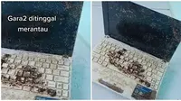Laptop Dikerumuni Semut. (Sumber: TikTok @anwarrr26)