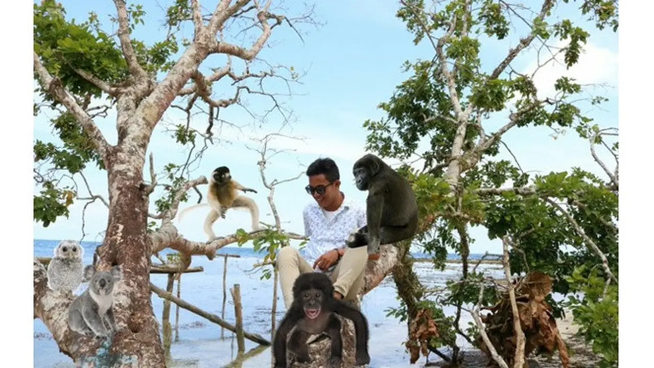 Cowok Ini Minta Fotonya di Atas Pohon Diedit, 6 Kreasi Netizen Kocak