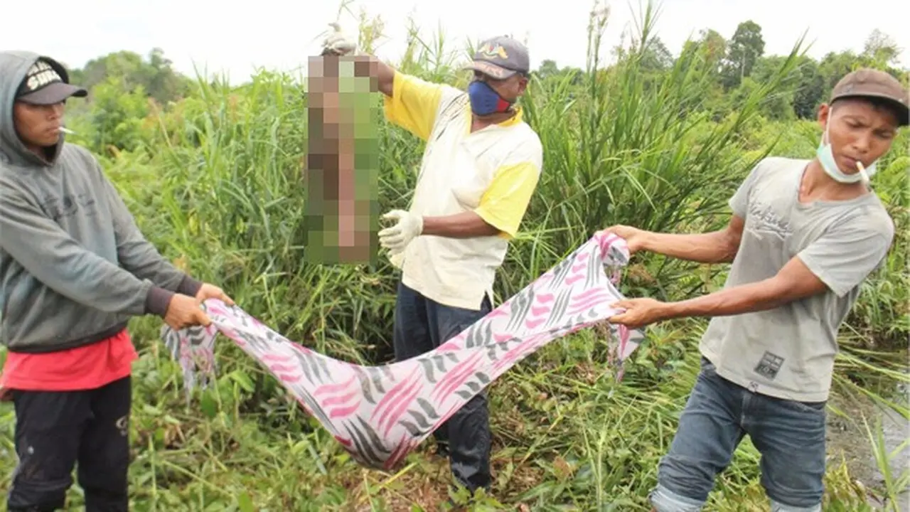 Serangan Buaya