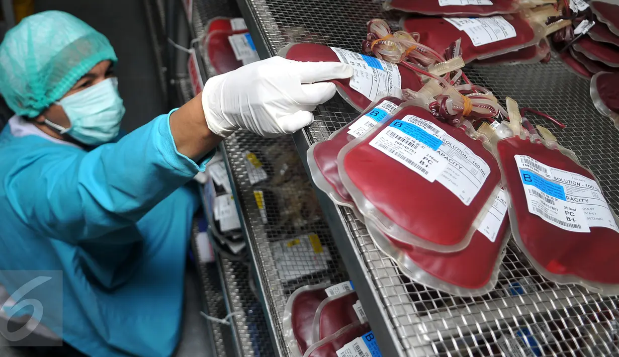 Petugas menata kantong darah di Unit Transfusi Darah (UTD) PMI Provinsi DKI Jakarta, Kamis (28/1). PMI mengantisipasi kenaikan permintaan kebutuhan darah akibat mewabahnya penyakit Demam Berdarah Dengue (DBD) di Jabodetabek. (Liputan6.com/Gempur M Surya)