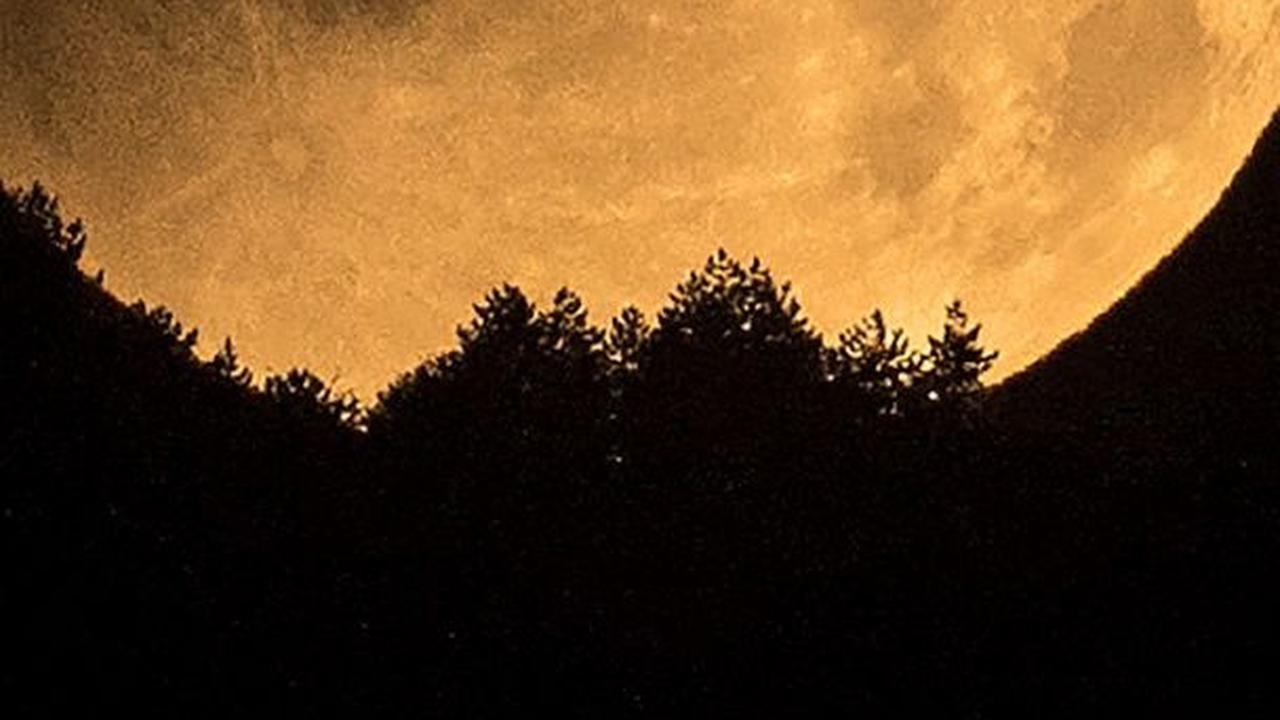 Fakta Menarik Gerhana Bulan Penumbra, Mulai dari Durasi Penampakan hingga Lokasi