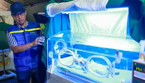 Cerita Dokter Restu Selamatkan Bayi Prematur Usai Gempa NTT