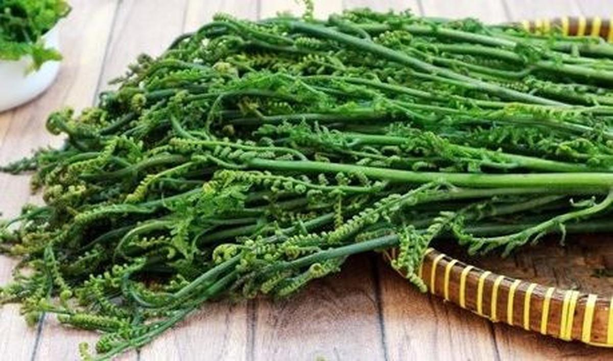 Tips Berbelanja Pakis Sayur