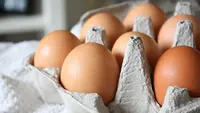Resep Telur untuk Lauk Sepekan, Variasi Menu Praktis dan Bergizi untuk Keluarga