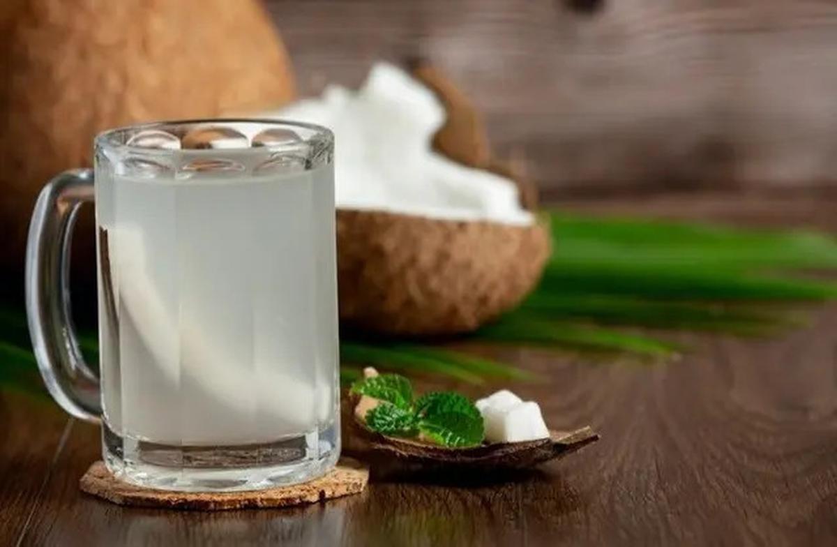 Minum Air Kelapa Muda, Cara Alami Redakan Kolesterol dan Asam Urat