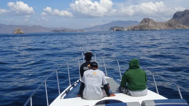Pemandangan Gunung Ara di Pulau Komodo Flores NTT. (Dok: Gunung Bagging https://www.gunungbagging.com/ara/)