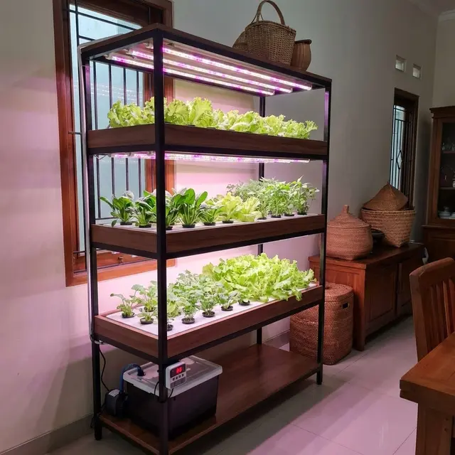 Inspirasi Rak Hidroponik Indoor Estetik