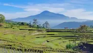 Gunung Tampomas di Sumedang. (Dok: IG @bogabuahdua&nbsp;https://www.instagram.com/p/C0RCxoSpx8c/?igsh=YWgxejRoNWlzNDV3)
