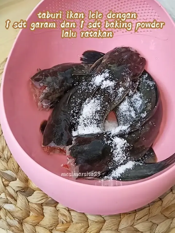 Cara mematikan ikan lele tanpa dipukul