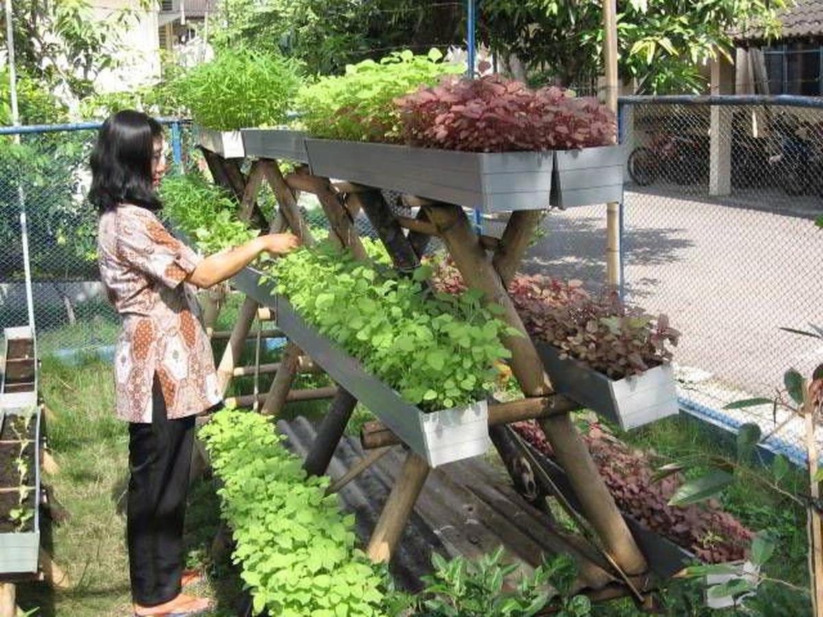 Desain Taman Toga