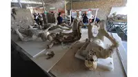 Dihantui 'Kutukan' Pompeii, Para Turis Kembalikan Artefak Curian