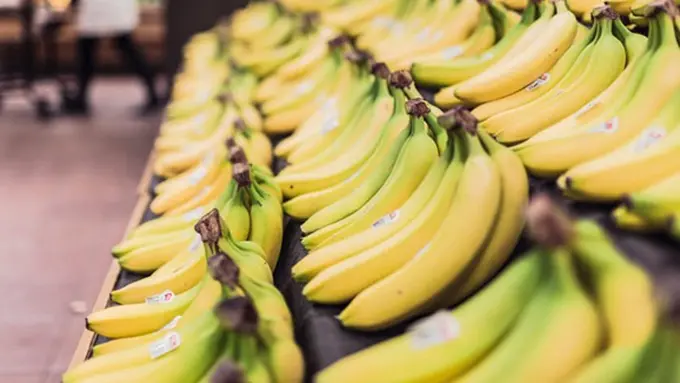 copyright by Pexels.com