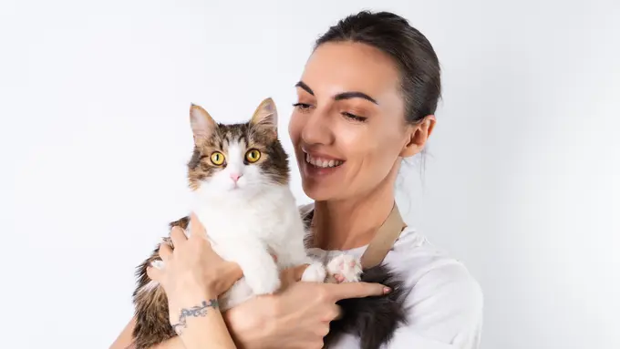 Ilustrasi Kucing Peliharaan