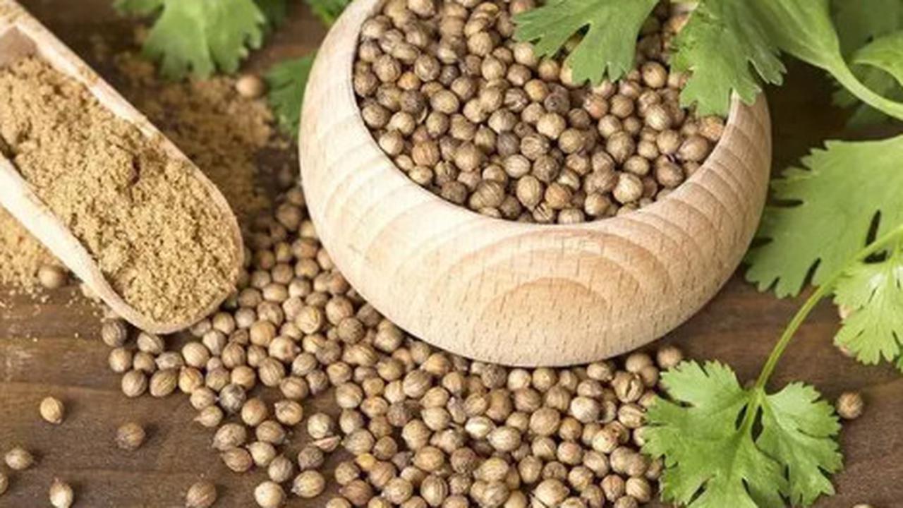 Manfaat Tersembunyi Ketumbar untuk Kolesterol, Alternatif Alami Turunkan Kadar LDL