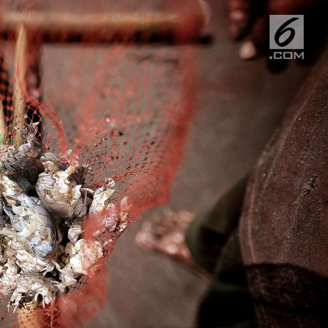 510 Koleksi Contoh Gambar Hewan Dan Manfaatnya Terbaru