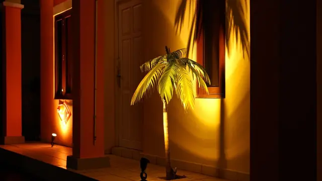 Taman Minimalis dengan Lampu Sorot.