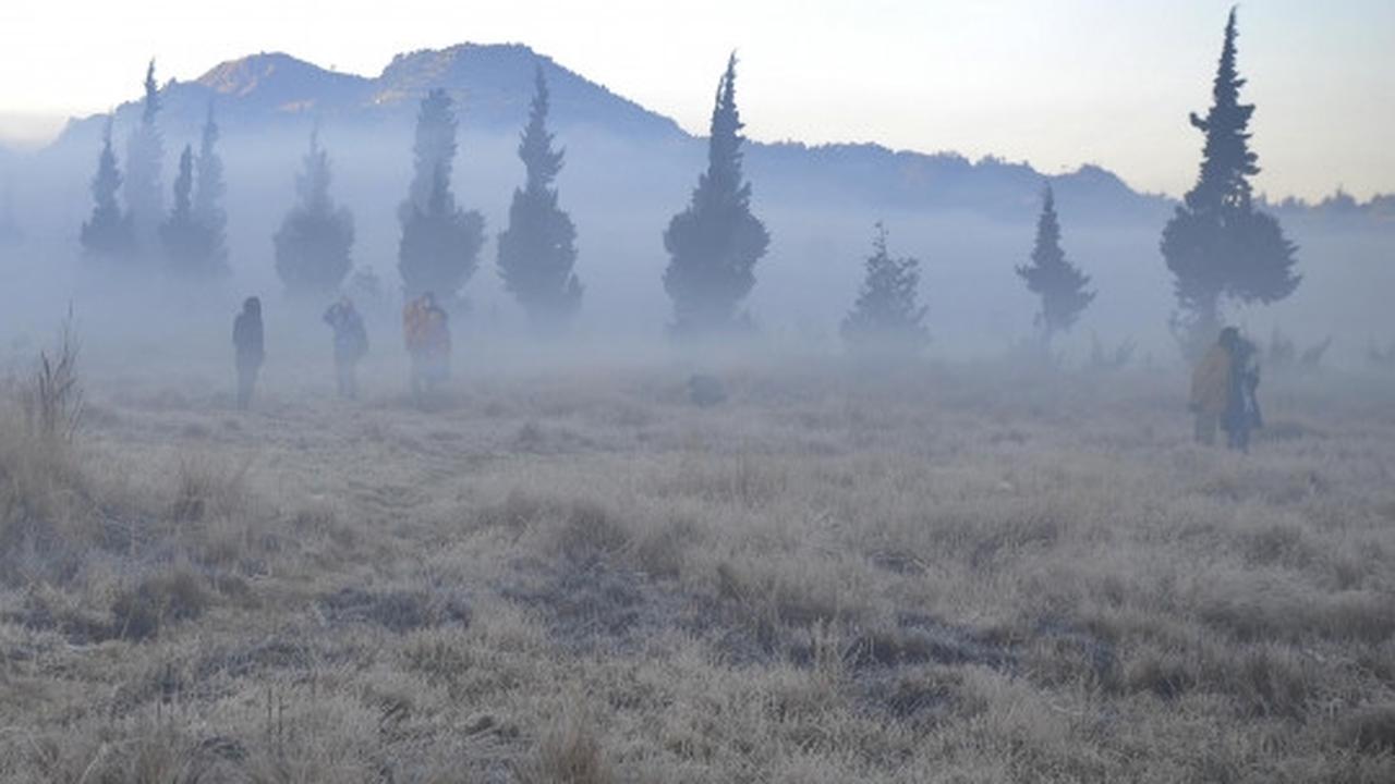 Dinginnya udara Dieng sampai embun berubah jadi es