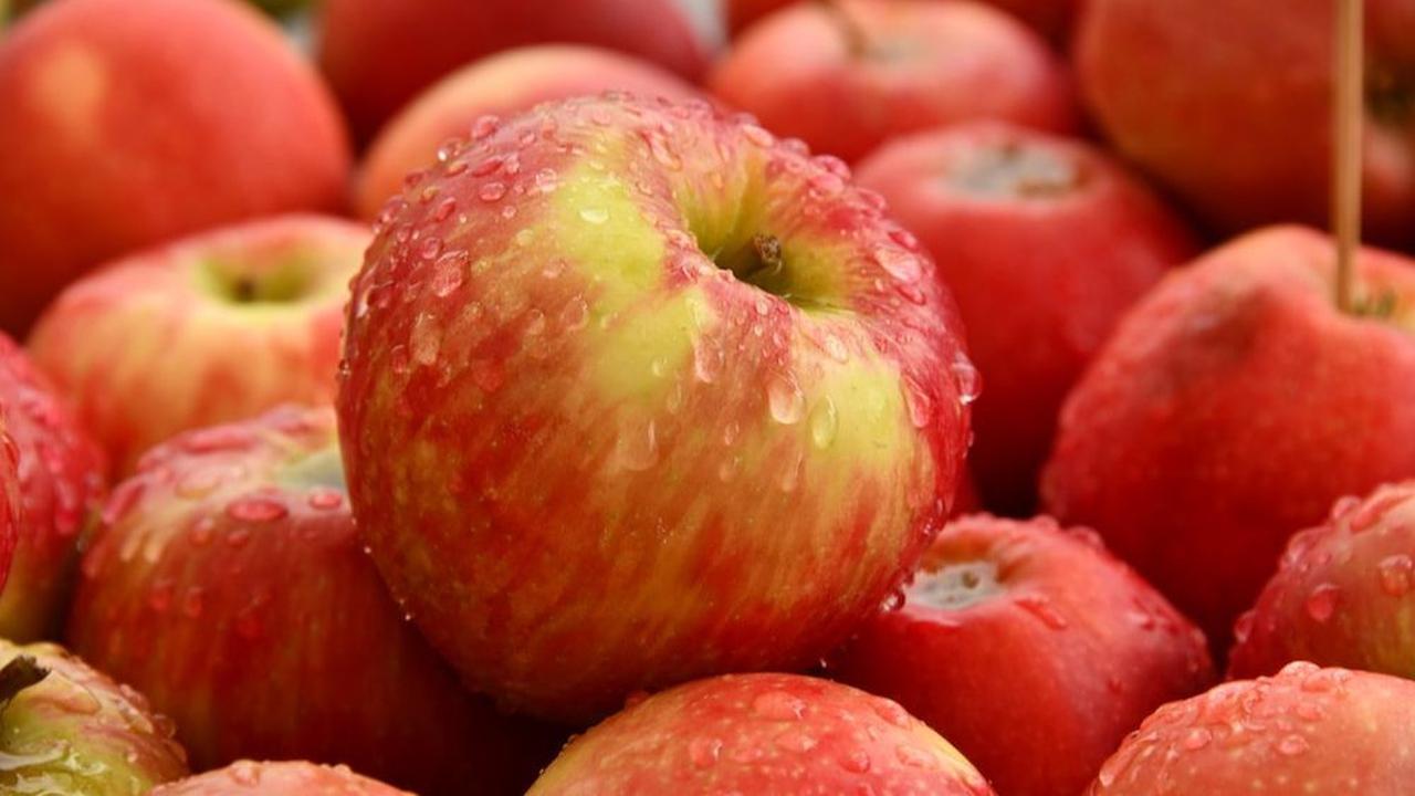 <b>3. Buah Apel</b><br>