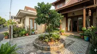 9 Pohon Buah Berakar Dangkal untuk Halaman Depan dengan Lantai Keramik