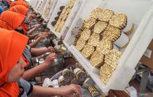 Ternyata Ini Alasannya! DPR Dukung Pembekuan Kenaikan Cukai Rokok 2026, Jaga Industri dan Jutaan Pekerja