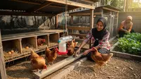 10 Ide Ternak untuk Pelatihan Ibu PKK yang Mudah Dipelajari, Ternak Menguntungkan Cepat Panen