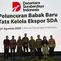 Danantara Ungkap Potensi Optimalisasi Ekspor SDA Rp 88,68 Triliun per Tahun