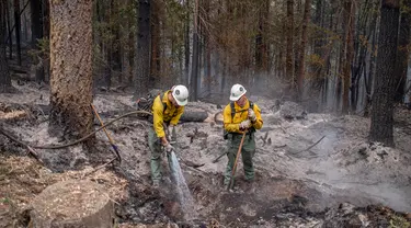 Tim pemadam kebakaran bekerja di titik-titik api Cedar Creek, sebelah timur Oakridge, Oregon, Senin (12/9/2022). Selain memaksa penduduk untuk melarikan diri, api yang berkobar di luar kendali juga mengancam kota-kota serta ribuan rumah. (Photo by Dan Morrison/AFP)