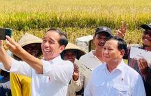 Presiden Jokowi Akhirnya Ungkap Penyebab Naiknya Harga Beras