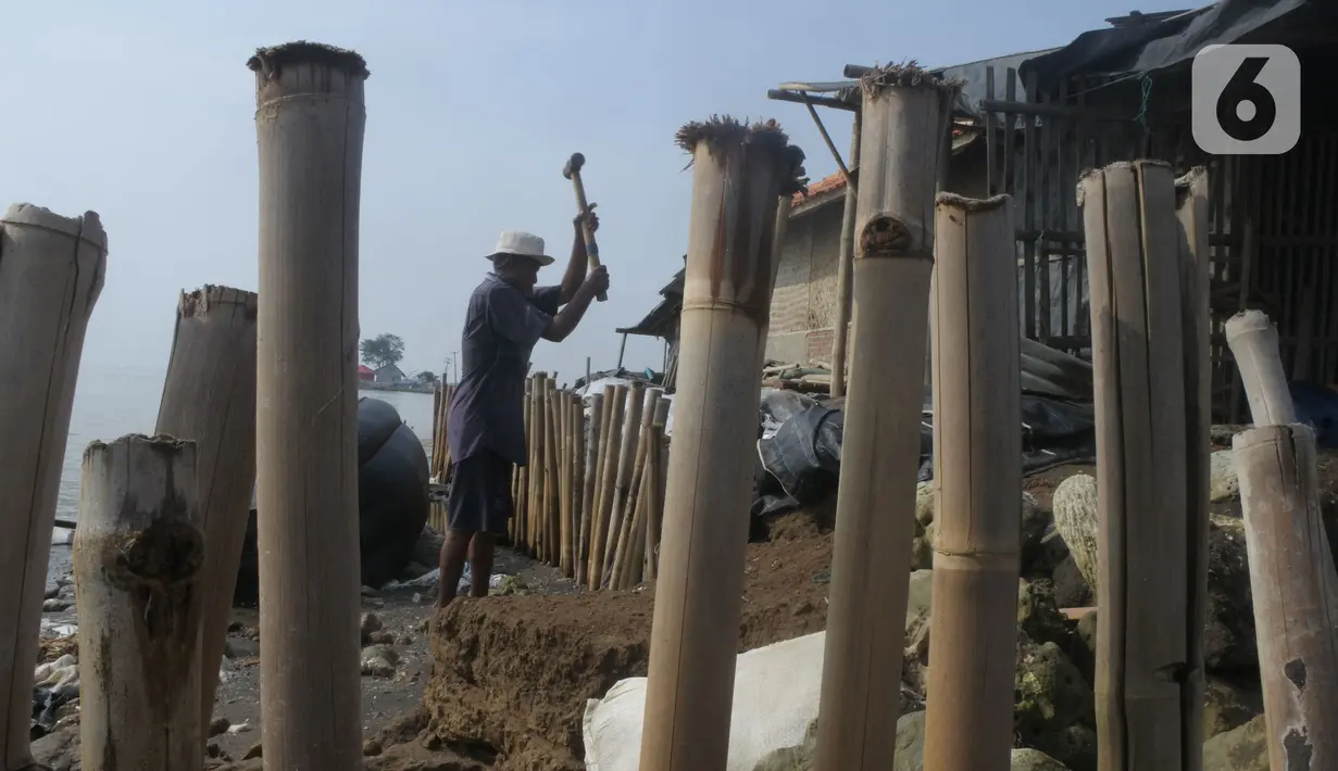 Mengatasi situasi dan kondisi ini, Pak Carmad hanya sanggup memperbaiki serta membuat patok-patok bambu dan tumpukan karung pasir untuk sedikit menahan gempuran ombak laut yang kian menggerus kawasan pesisir. (merdeka.com/Imam Buhori)