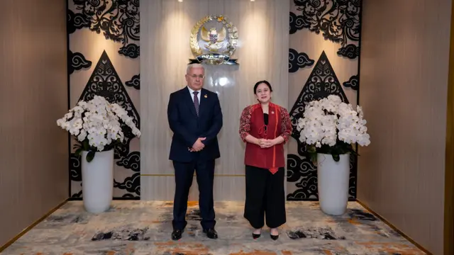 Puan Singgung Kerja Sama Ekonomi Hijau dan Sister City Yogyakarta-Hluboká nad VItavou Saat Bertemu Pimpinan Ceko