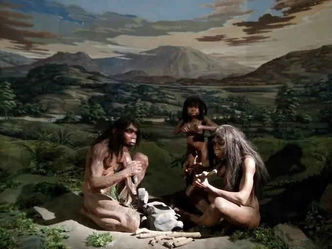 Manekin dari Homo erectus dalam pameran berjudul 
