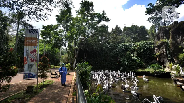 Cegah COVID-19, Kebun Ragunan Disemprot Disinfektan