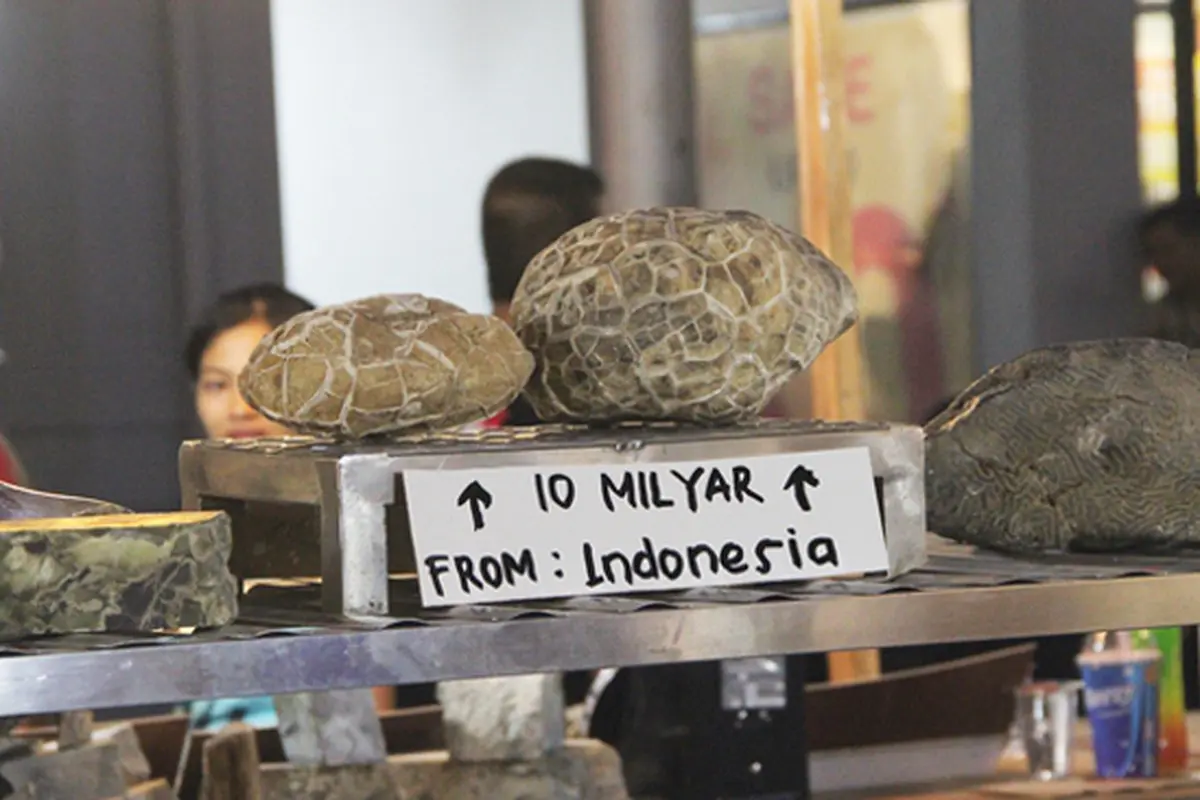 Batu Giok Kura-kura - Jakarta fair Kemayoran 2015