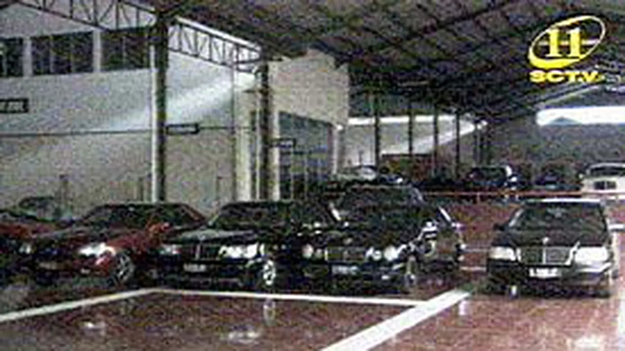 070901bTommy.jpg