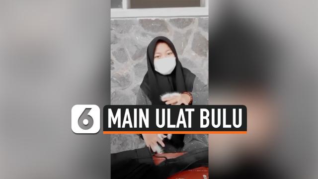 Berita Ulat Bulu Hari Ini Kabar Terbaru Terkini Liputan6 Com